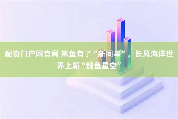 配资门户网官网 鲨鱼有了“新同事”，长风海洋世界上新“鳐鱼星空”